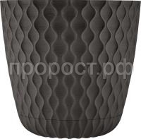 Wawe горк шоколад