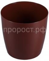 крокус кор кр крокус кор кр