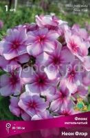 Флокс метельчатый Неон Флэр