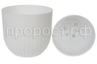 альфа белый2