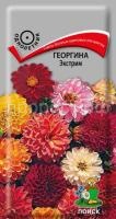 Георгина Экстрим Георгина Экстрим