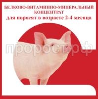 бвмк поросята 2-4 бвмк поросята 2-4