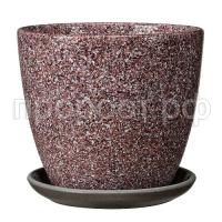 Сахара бордовый крокус