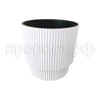 Жасмин 17белый Жасмин 17белый