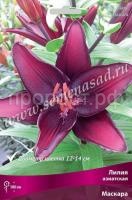 НоменклатураПрисоединенныеФайлы НоменклатураПрисоединенныеФайлы