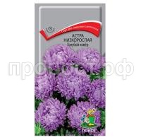 Астра-низкорослая-Голубой-ковер-0,2г-Поиск Астра-низкорослая-Голубой-ковер-0,2г-Поиск