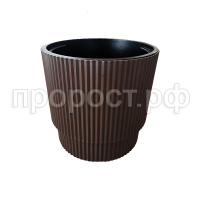 Жасмин 17шоколад Жасмин 17шоколад