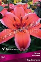 НоменклатураПрисоединенныеФайлы НоменклатураПрисоединенныеФайлы