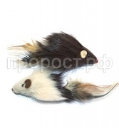 4f97f005fa50cf2b6afb3aa642ca7fac