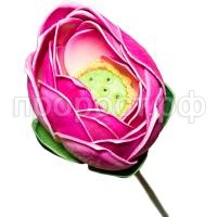 К205539_1 К205539_1