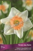 Нарцисс Пичес энд Крим