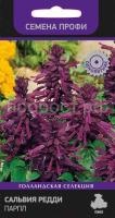 Сальвия Редди Парпл Сальвия Редди Парпл
