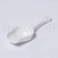 IMG_7231 IMG_7231