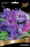 Флокс метельчатый Отем Джой