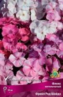 Флокс метельчатый Фрекл Ред Шейдз
