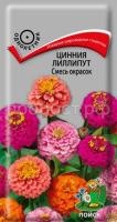 Цинния лиллипут Смесь окрасок Цинния лиллипут Смесь окрасок