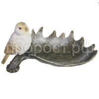 птичка лосин птичка лосин