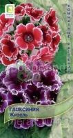 851252437_w700_h500_semena-gloksinii-zhizel 851252437_w700_h500_semena-gloksinii-zhizel