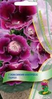 Глоксиния Импресс Парпл