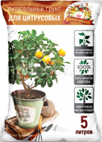 цитр 5 цитр 5