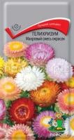 Гелихризум Махровый смесь окрасок Гелихризум Махровый смесь окрасок