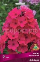 Флокс метельчатый А.Е.Амос