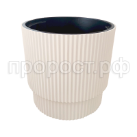 Жасмин 40латте Жасмин 40латте