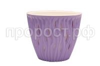 Вдохновение сиреневый