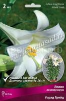 НоменклатураПрисоединенныеФайлы НоменклатураПрисоединенныеФайлы