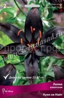 НоменклатураПрисоединенныеФайлы НоменклатураПрисоединенныеФайлы