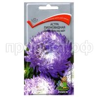 Астра-пионовидная-Дюшес-блю-энд-вайт-0,3г-Поиск Астра-пионовидная-Дюшес-блю-энд-вайт-0,3г-Поиск