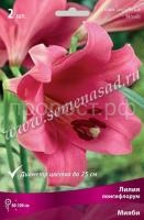 НоменклатураПрисоединенныеФайлы НоменклатураПрисоединенныеФайлы