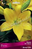 Лилия ЛА-Гибрид Дезерт Инн (14-16) 2шт 736164 Лилия ЛА-Гибрид Дезерт Инн (14-16) 2шт 736164