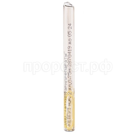 Кетгут простой полированный в ампулах мононить рассас №2, 0,75м/ВИК Кетгут простой полированный в ампулах мононить рассас №2, 0,75м/ВИК