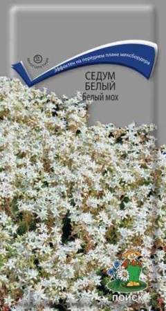 Седум белый Белый мох 0,01г Седум белый Белый мох 0,01г