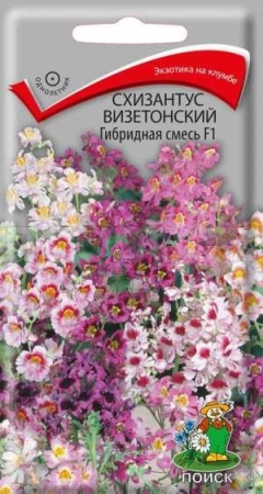 Схизантус визетонский Гибридная смесь F1 0,06г Схизантус визетонский Гибридная смесь F1 0,06г