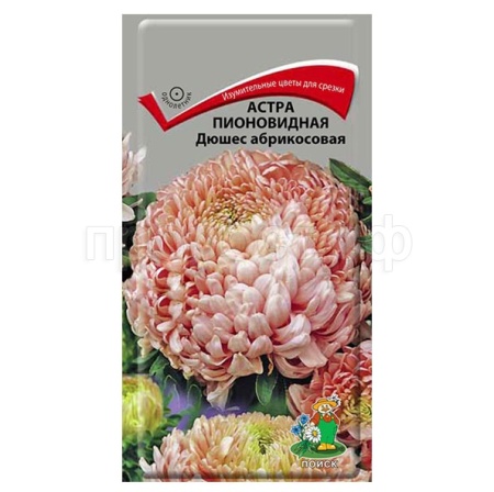 Астра пионовидная Дюшес абрикосовая 0,3г  Астра пионовидная Дюшес абрикосовая 0,3г