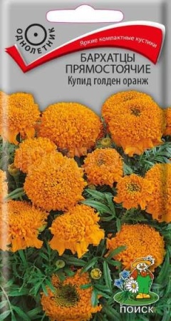 Бархатцы Купид голден оранж 0,2г Бархатцы Купид голден оранж 0,2г