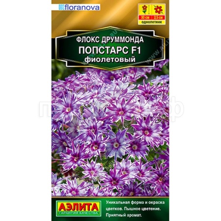 Флокс друммонда Попстарс F1 фиолетовый 5шт