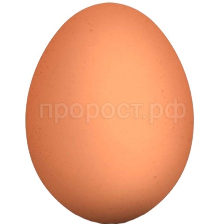 Инструмент Яйцо куриное резиновое муляж  Инструмент Яйцо куриное резиновое муляж