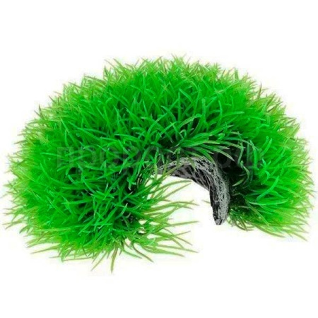 Грот-убежище Мохнатая норка/Plant 063