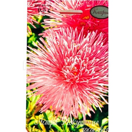 Астра Искушение лососевая 20*1  Астра Искушение лососевая 20*1