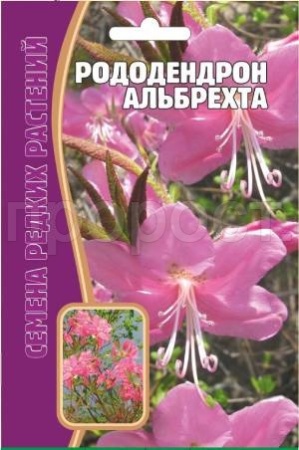 Рододендрон Альбрехта 25 шт Рододендрон Альбрехта 25 шт