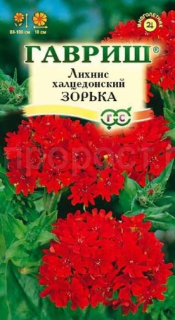 Лихнис Халцедонский Зорька 0,1г  Лихнис Халцедонский Зорька 0,1г