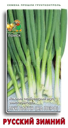 Лук батун Русский зимний 1г  Лук батун Русский зимний 1г