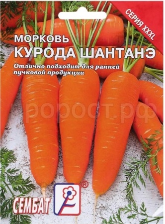 Морковь Курода Шантанэ 10г Морковь Курода Шантанэ 10г