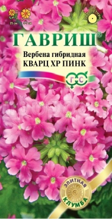 Вербена Кварц ХР Пинк 4шт
