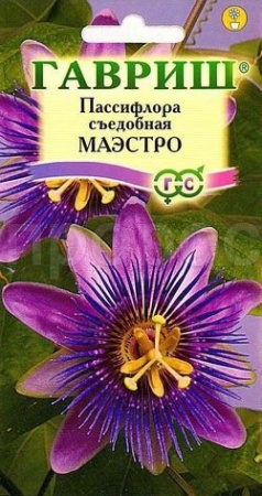 Пассифлора съедобная Маэстро 5шт Пассифлора съедобная Маэстро 5шт