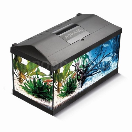 Аквариум прямоугольный полный комплект 54л(61*31*36) LEDDY SET PLUS 60 черный /124532/АП Аквариум прямоугольный полный комплект 54л(61*31*36) LEDDY SET PLUS 60 черный /124532/АП