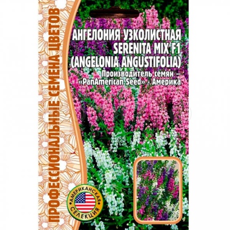 Ангелония узколистная Serenita mix F1 3шт Ангелония узколистная Serenita mix F1 3шт